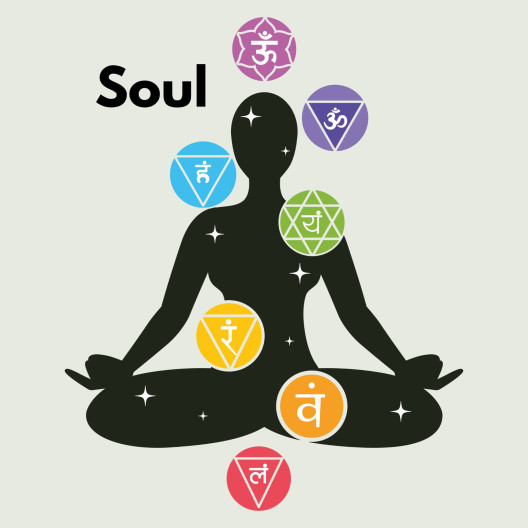 MINI- Iris-Analyse "Soul Touch" inkl. Beratung